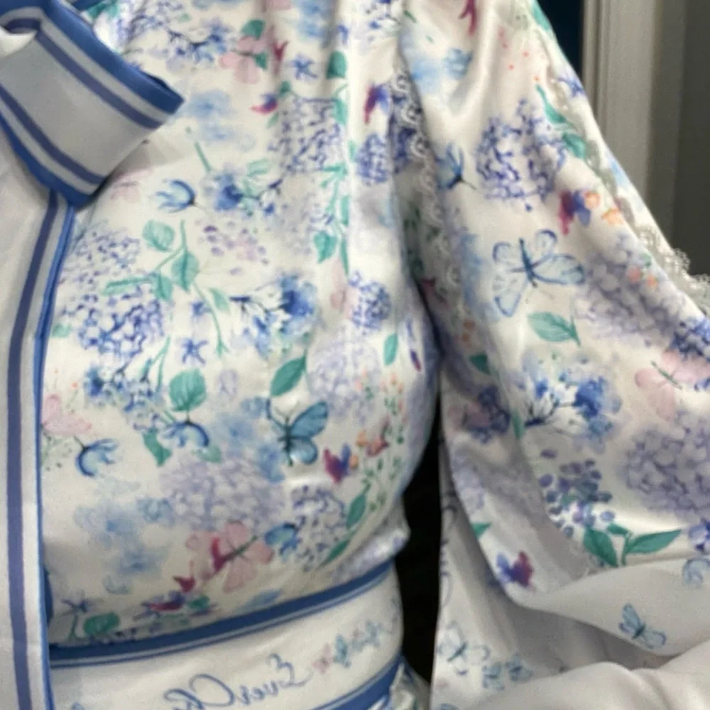 Chic Long Sleeve Floral Dress in Blue and White - Picture 6 of 14